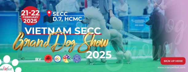 dogshowbanner