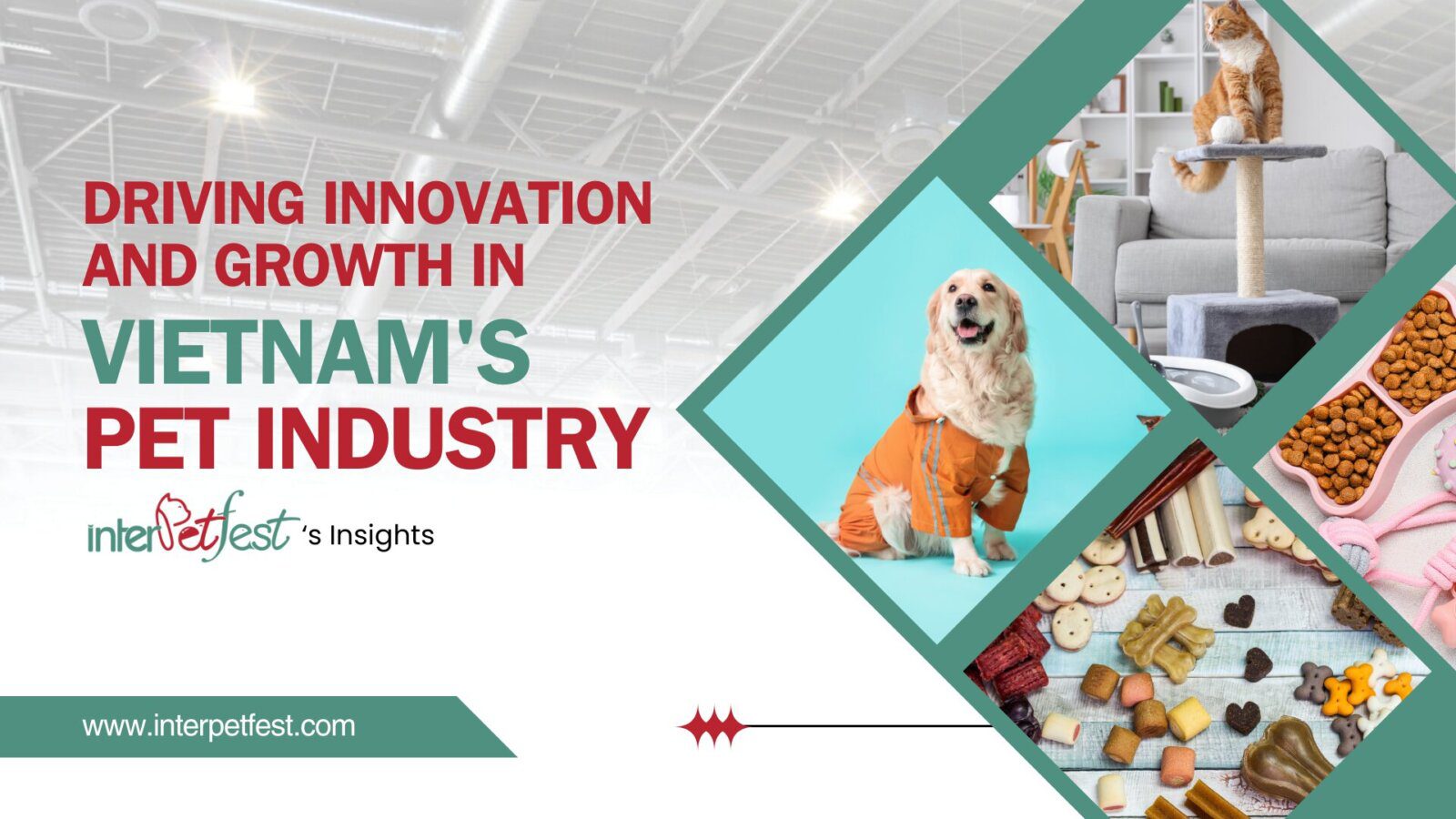 Thúc đẩy đổi mới và tăng trưởng trong ngành thú cưng của Việt Nam