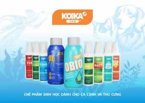 KOIKA – A BIOLOGICAL PRODUCT FOR AQUARIUM FISH AND PETS