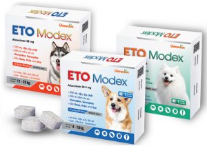 ETO Modex