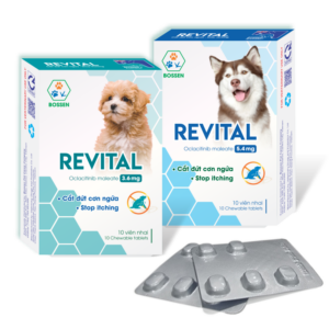 Revital