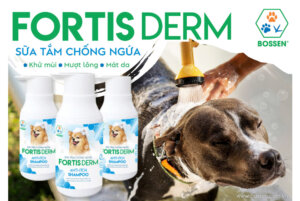 Fortis Derm