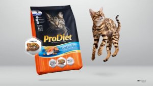 ProDiet