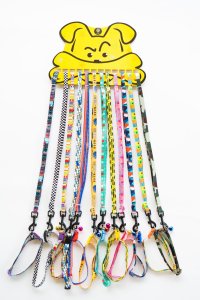 Pet Leash