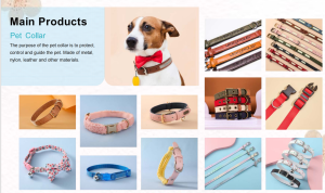Pet Collar