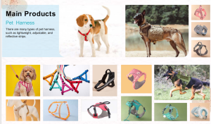 Pet Harness