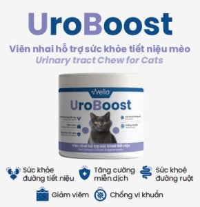 UroBoost