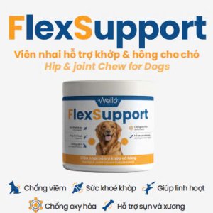 FlexSupport