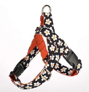 NORADOG Daisy Easy Harness