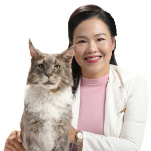 목. BSTY. 디엡 응옥 쭉(Diep Ngọc Truc) 