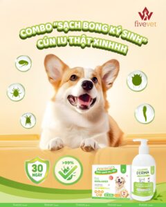 Five-Axolaner & Derma – COMBO TRỊ VE – RẬN TRIỆT ĐỂ