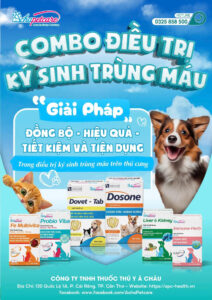 BLOOD PARASITE TREATMENT COMBO