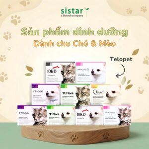 Dòng sản phẩm dinh dưỡng bổ sung