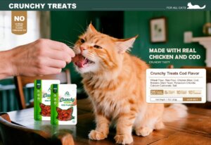 CRUNCHY TREATS