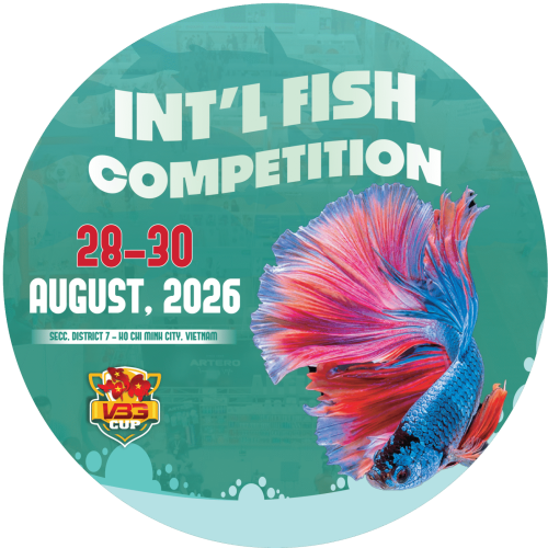 อาร์ตบอร์ด 4@4x