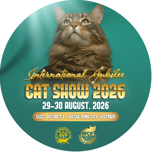 Catshow vuông@2x