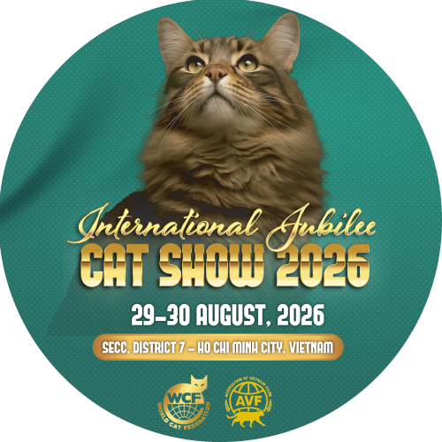 Catshow vuông@3x