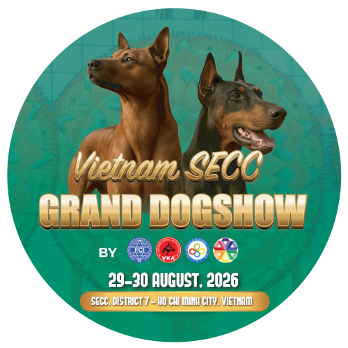 KV Dog show vuông@2x