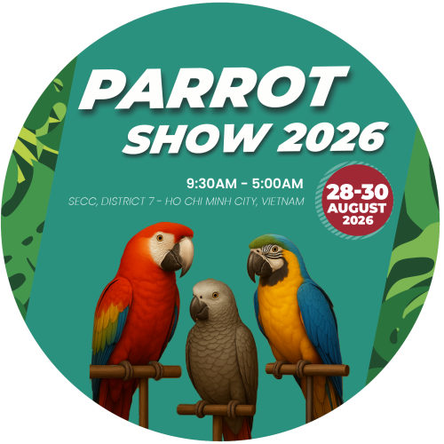 PARROT KV VUÔNG@2x