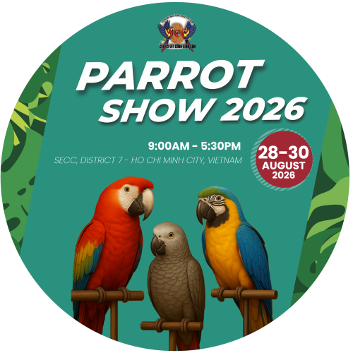 PARROT KV VUÔNG@3x
